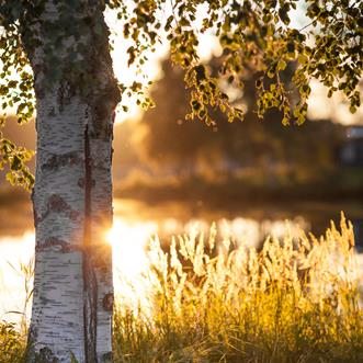 Sjö i solnedgång