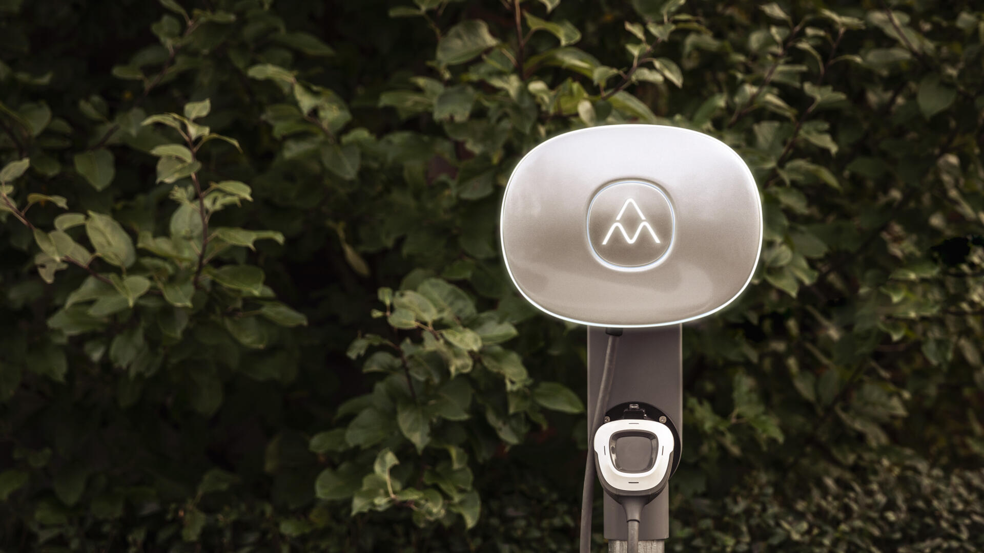 Laddboxen Charge Amps Dawn