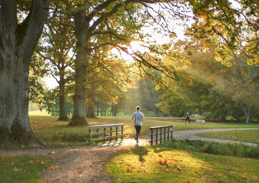 Man joggar över en bro i en park