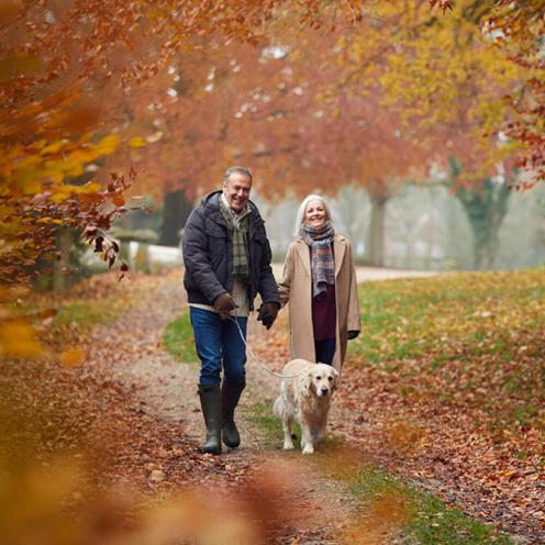 Äldre par på promenad i en skog tillsammans med sin hund